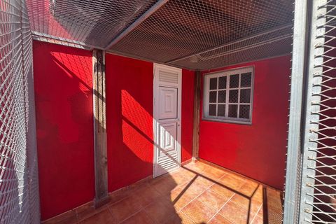 Finca i El Escobonal, Tenerife, El Escobonal - € 369.000 | Ref: VHP-0420 - foto 18